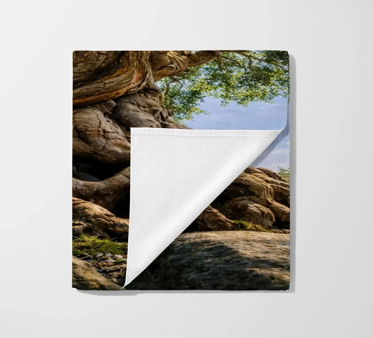 old tree beach towel by the gunduls