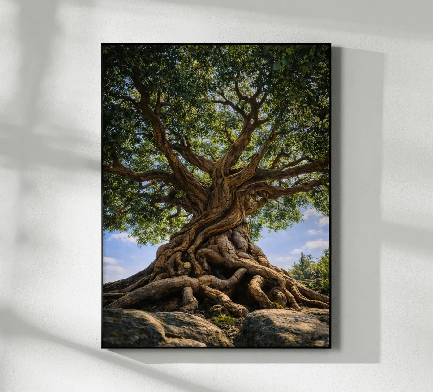 old tree Acryl-Glas von the gunduls