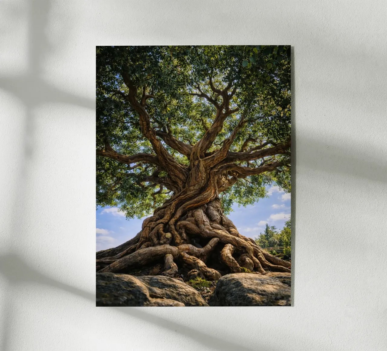 old tree plexiglas de the gunduls