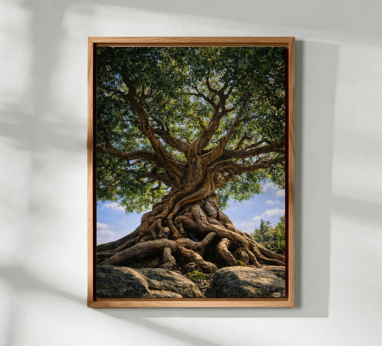 albero secolare alluminio dibond da the gunduls