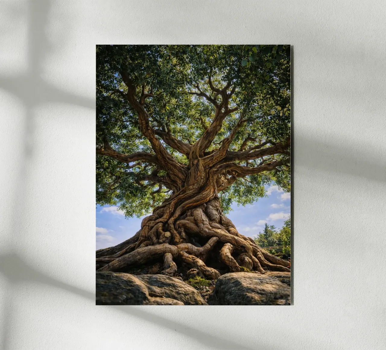 albero secolare alluminio dibond da the gunduls