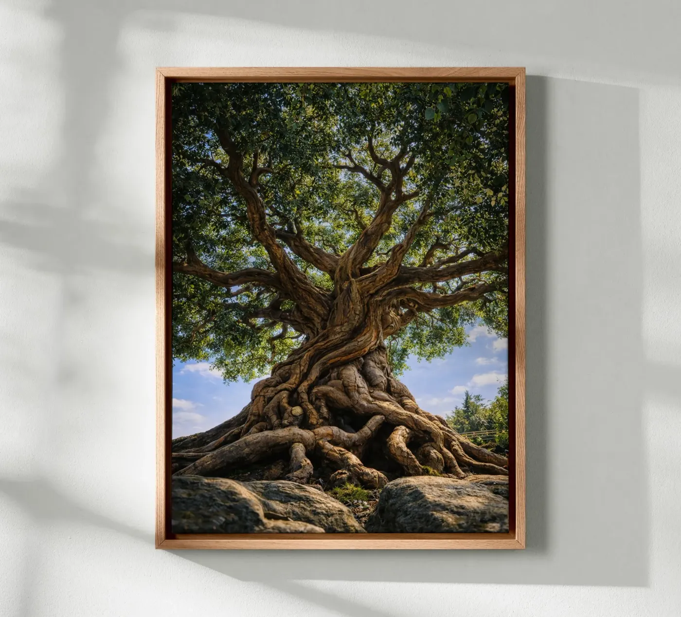 old tree canvas by the gunduls