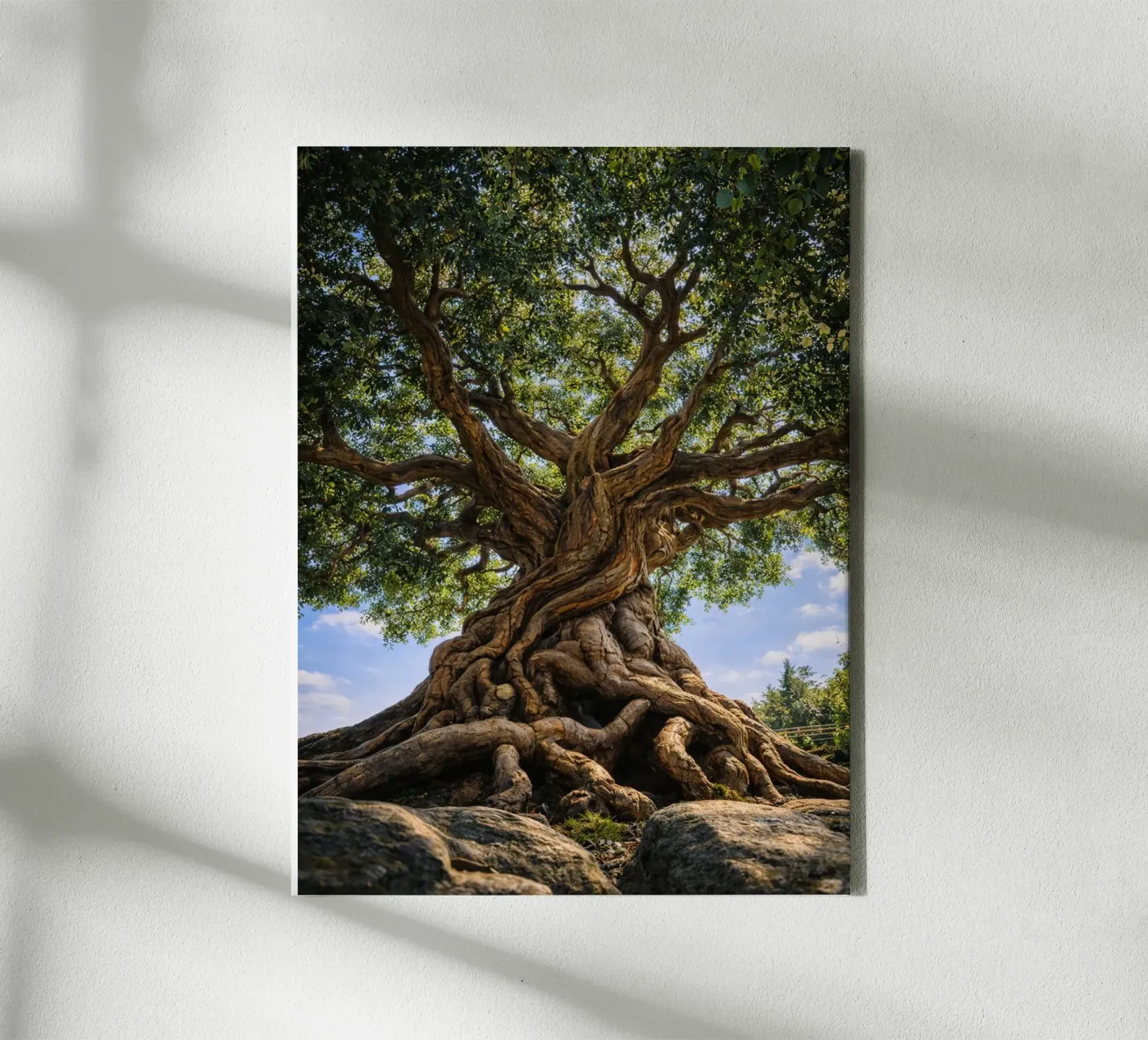 old tree canvas by the gunduls