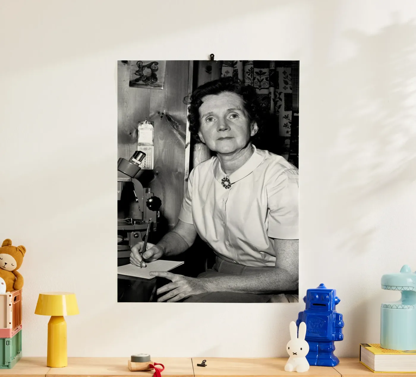 Rachel Carson Looking Through A Microscope poster by NICE CHOICE