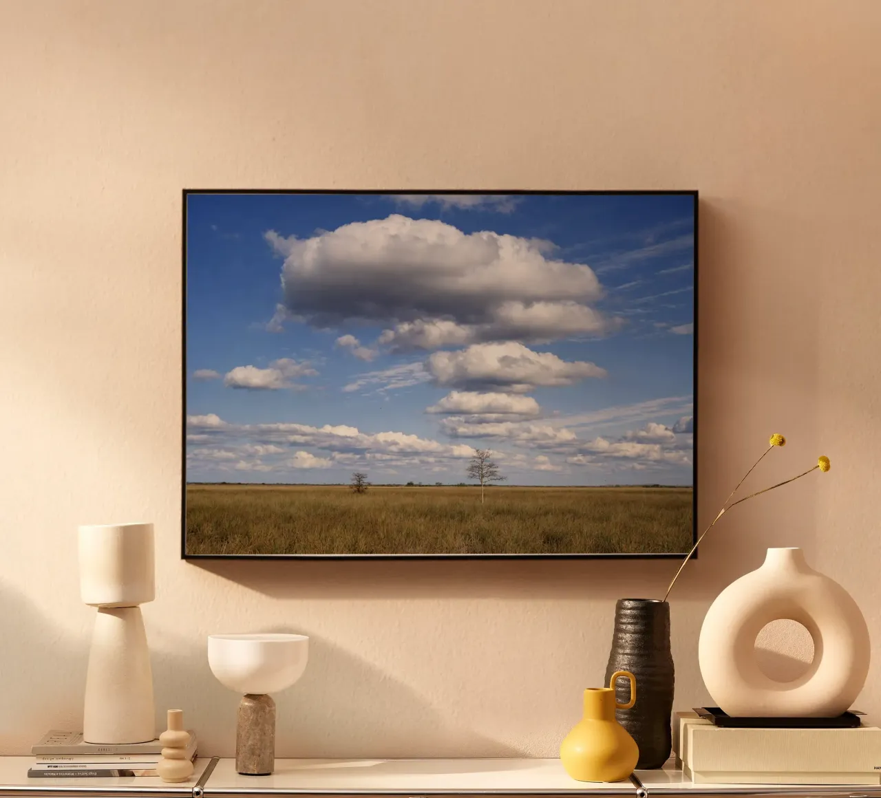 savana view plexiglass da the gunduls