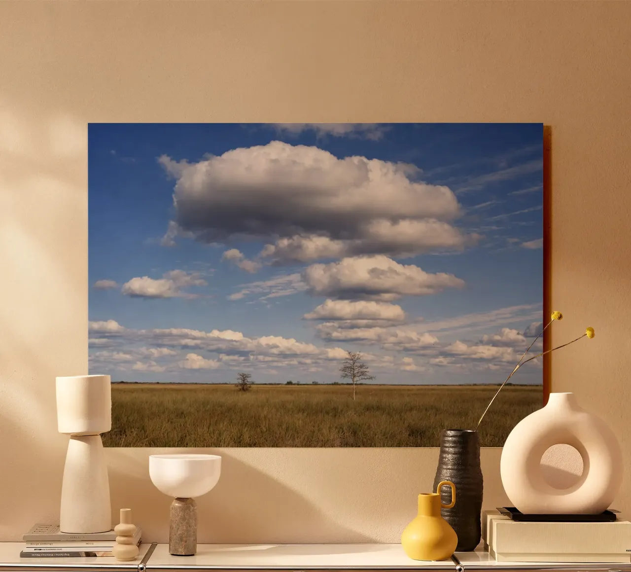 savana view plexiglass da the gunduls