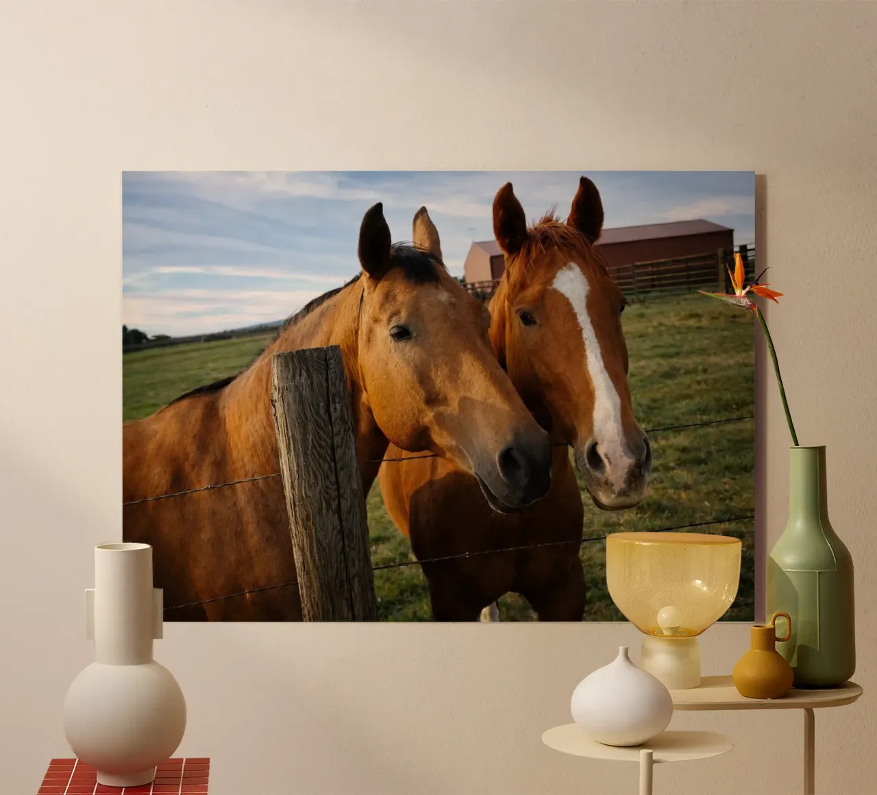 due cavalli plexiglass da the gunduls