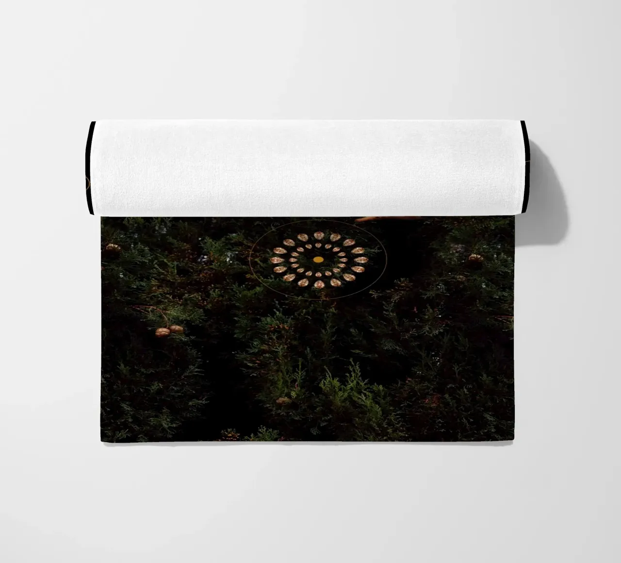 Wisdom telo mare da Frank Moth