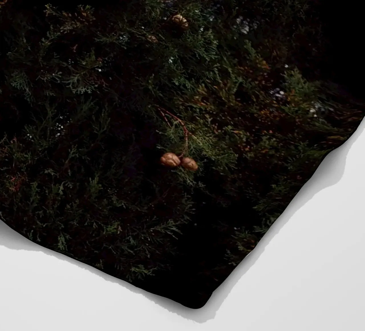 Wisdom fleecedeken van Frank Moth