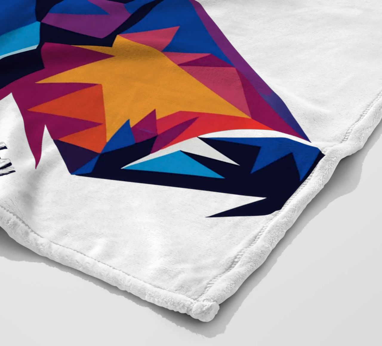 Albert Einstein in WPAP Pop Art coperta in pile da vectorartnesia