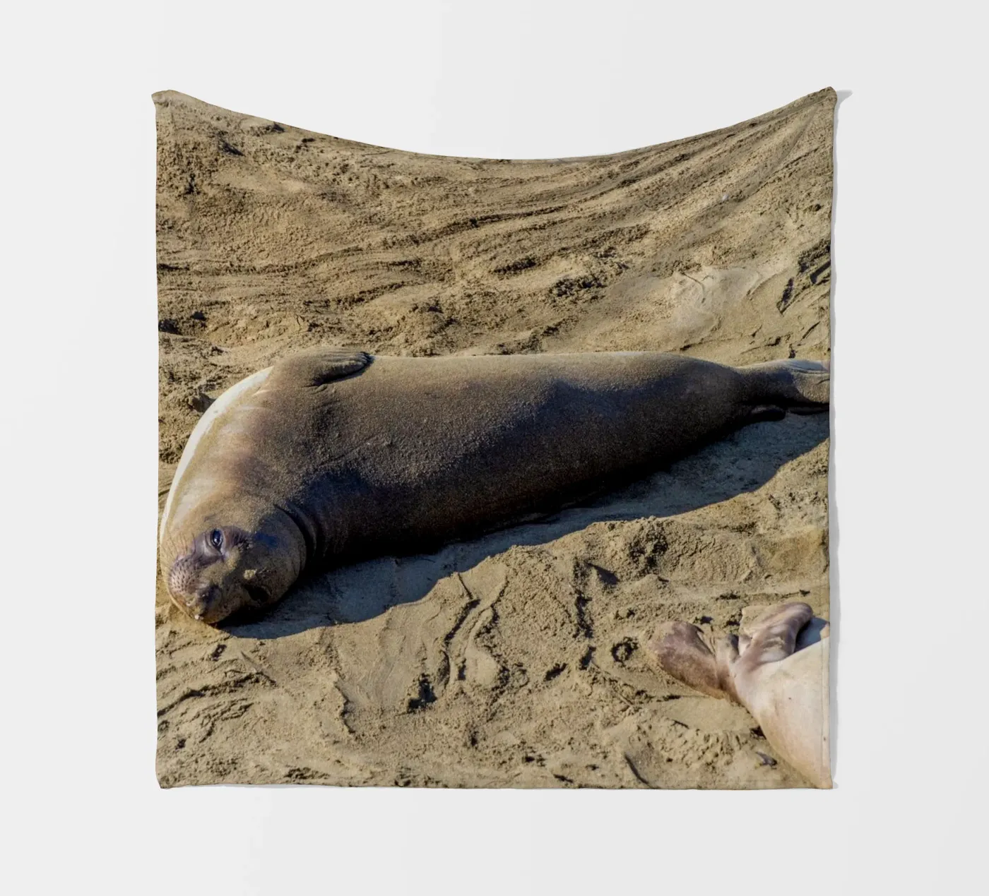 Seal fleecedeken van anderm