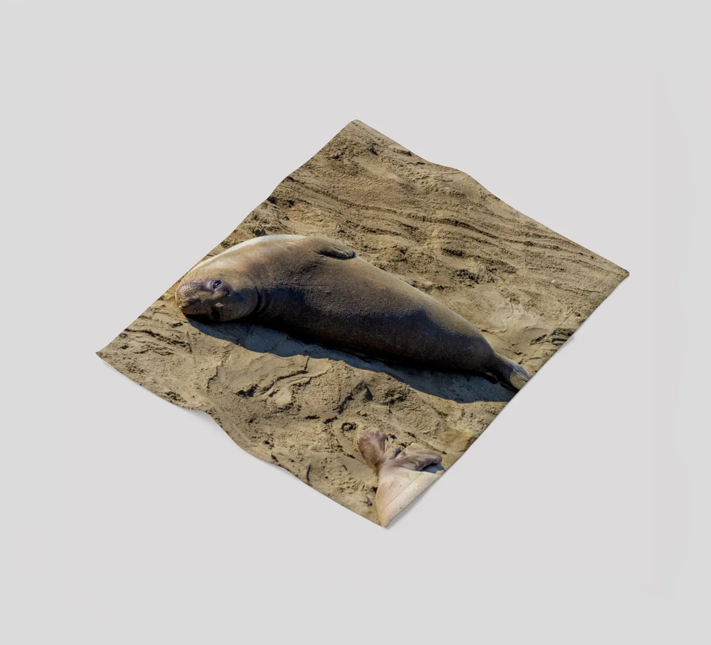 Seal fleecedeken van anderm