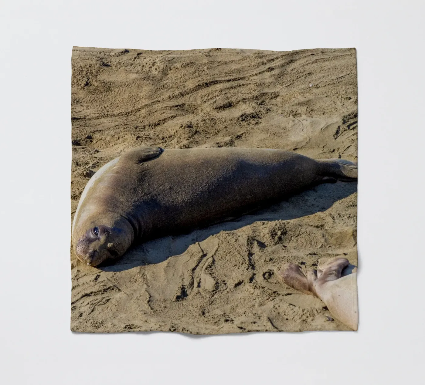 Seal fleecedeken van anderm
