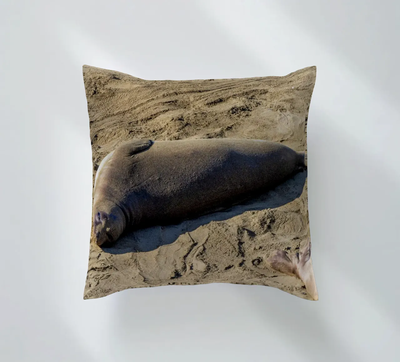 Seal cuscino da anderm