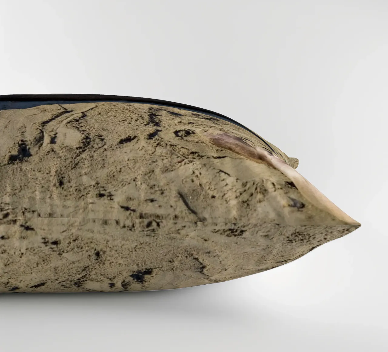 Seal cuscino da anderm