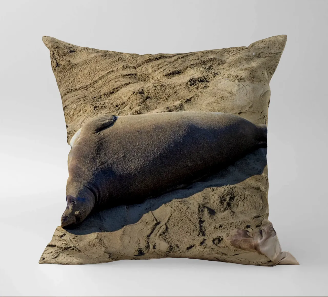 Seal cuscino da anderm