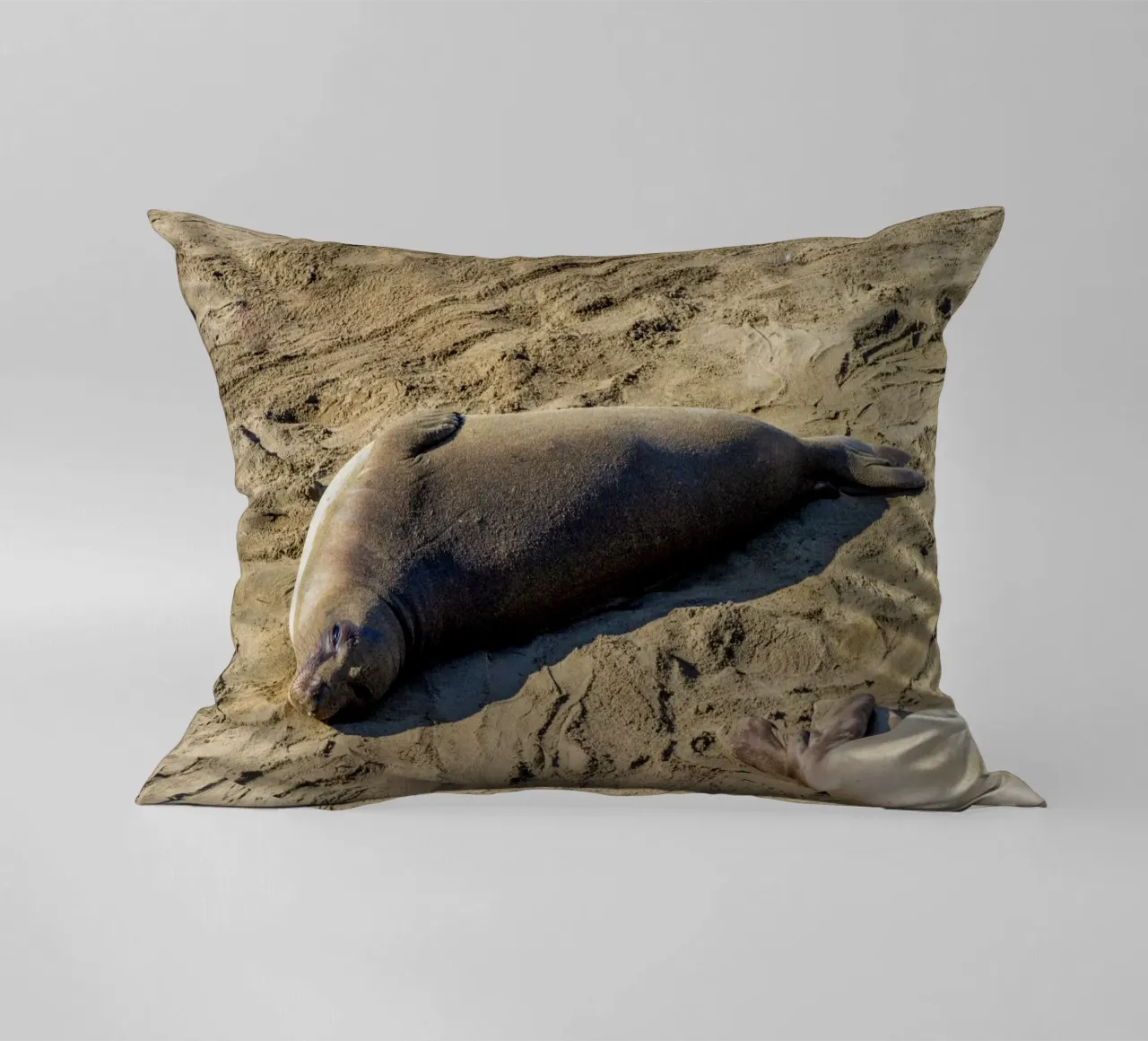 Seal cuscino da anderm