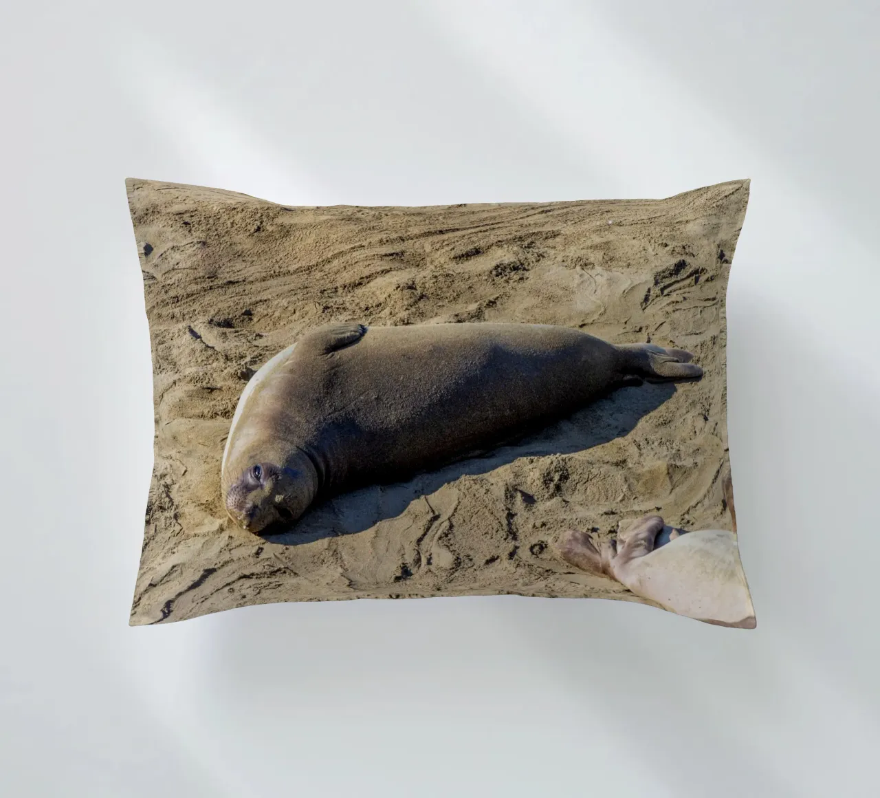 Seal cuscino da anderm