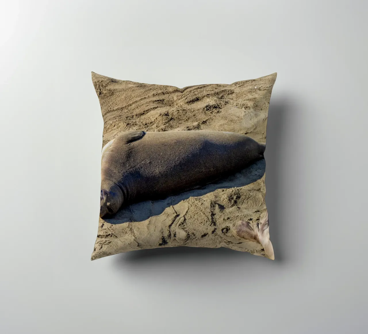 Seal cuscino da anderm