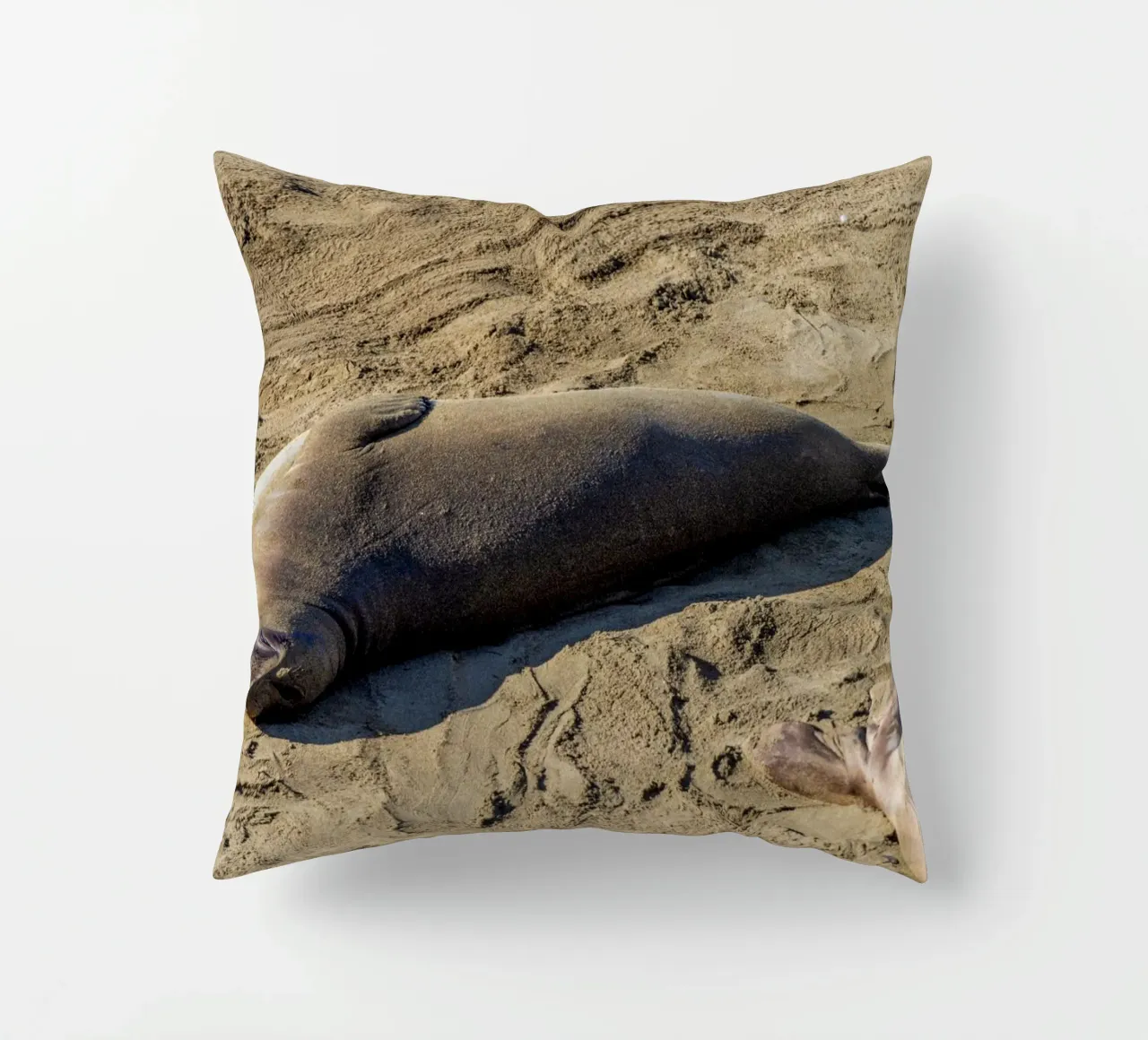 Seal cuscino da anderm