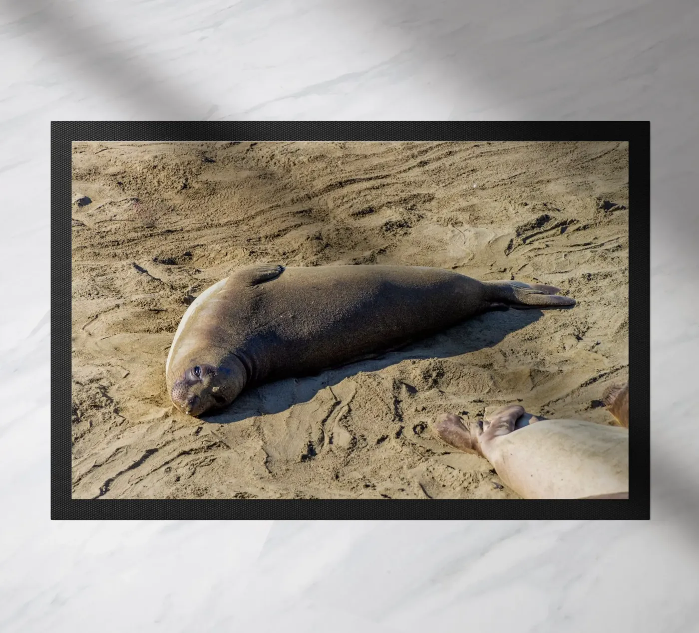 Seal doormat by anderm