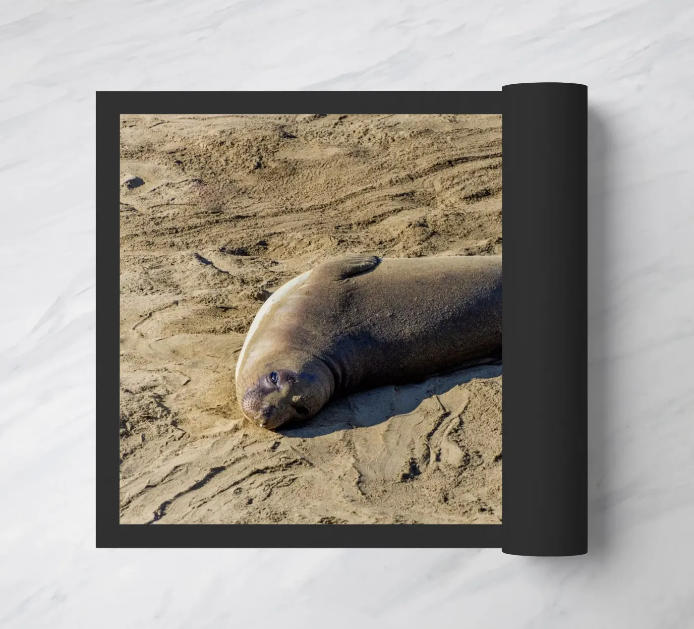 Seal doormat by anderm