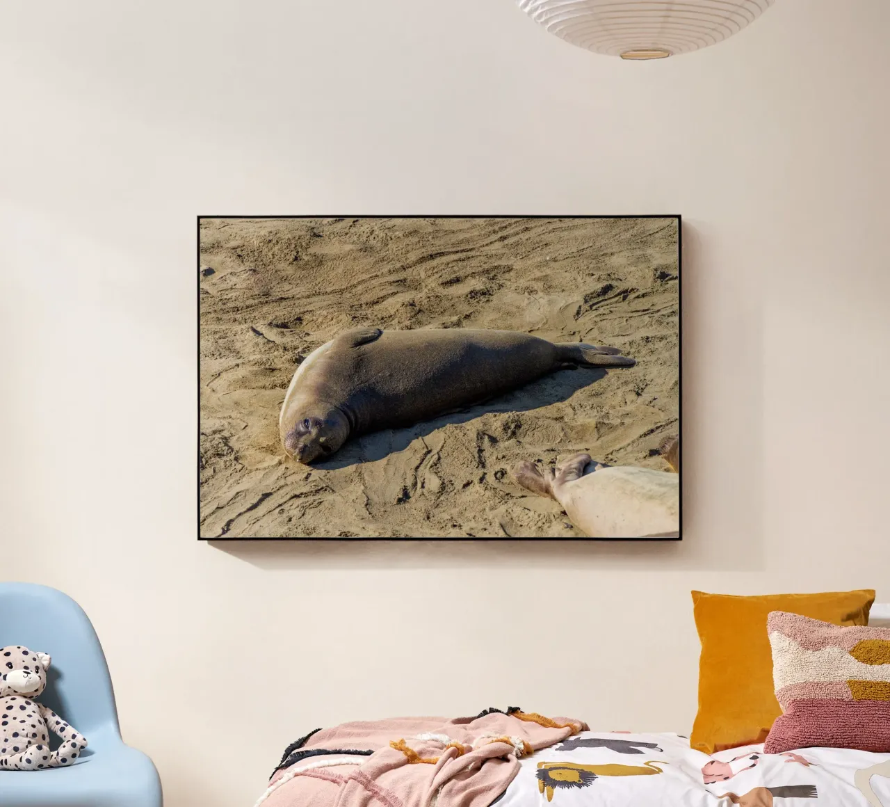 Seal plexiglass da anderm