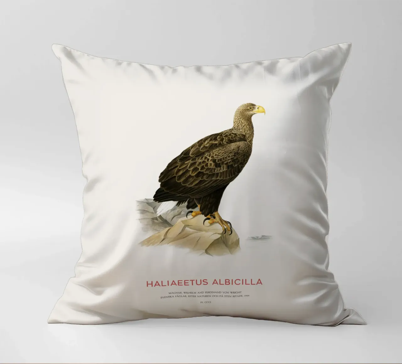 Aquila dalla coda bianca o Haliaeetus Albicilla cuscino da Vintagrafica