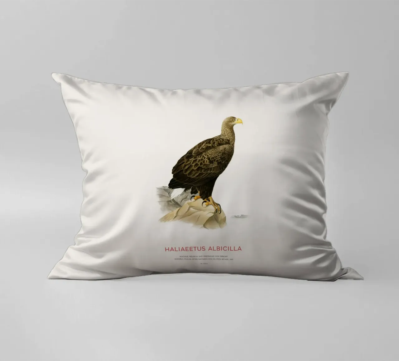 Aquila dalla coda bianca o Haliaeetus Albicilla cuscino da Vintagrafica