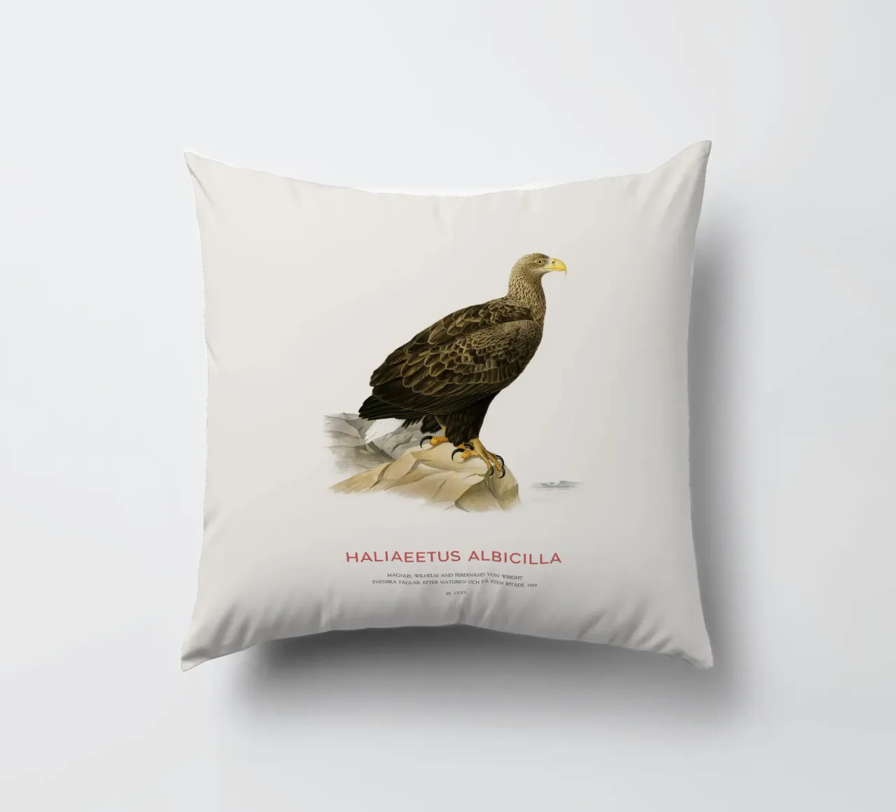 Aquila dalla coda bianca o Haliaeetus Albicilla cuscino da Vintagrafica
