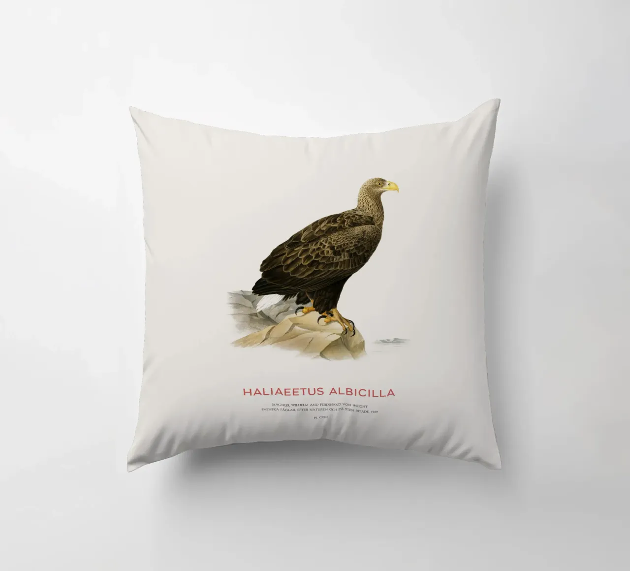 Aquila dalla coda bianca o Haliaeetus Albicilla cuscino da Vintagrafica