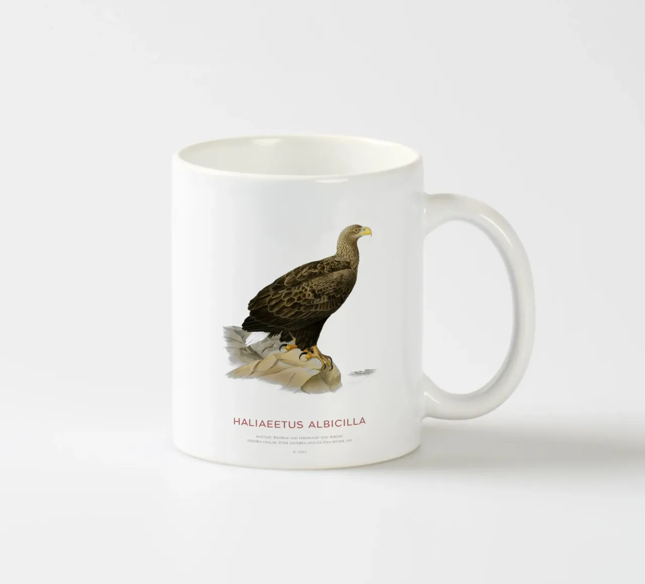 Aquila dalla coda bianca o Haliaeetus Albicilla tazza in ceramica da Vintagrafica