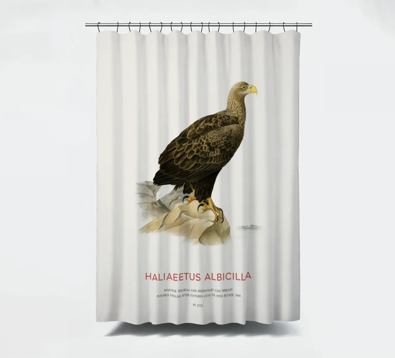 White-tailed eagle or Haliaeetus Albicilla shower curtain by Vintagrafica