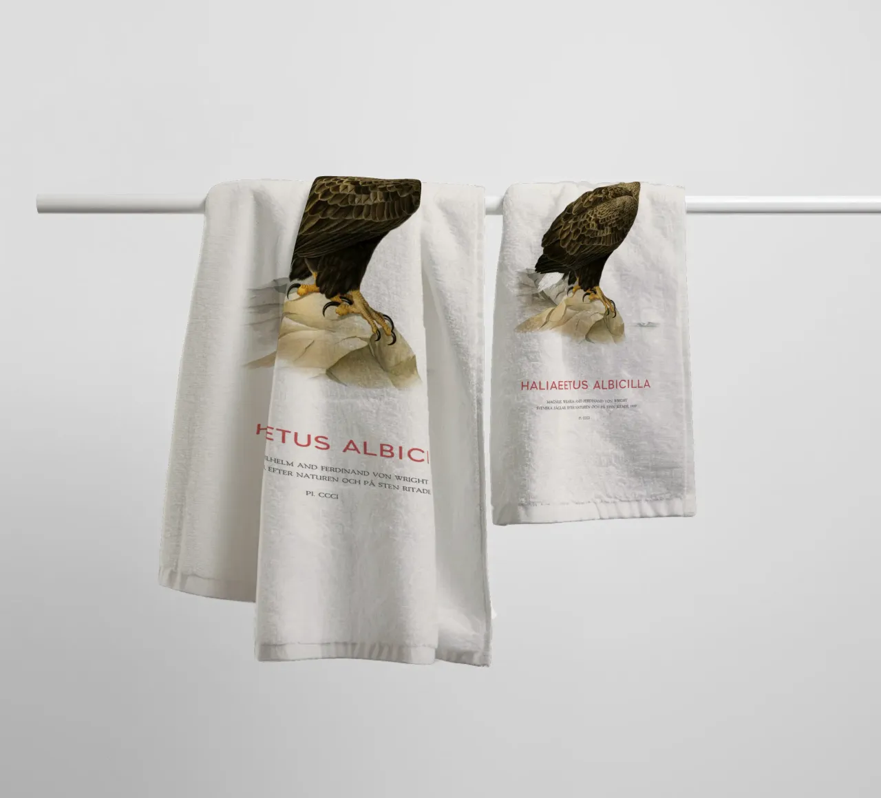 Pygargue à queue blanche ou Haliaeetus Albicilla serviette de bain de Vintagrafica
