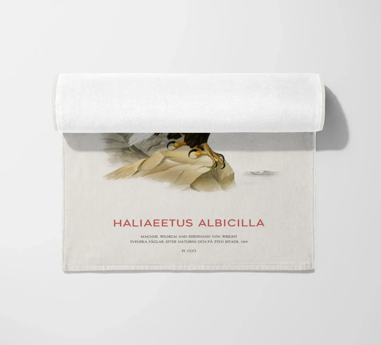 Pygargue à queue blanche ou Haliaeetus Albicilla serviette de plage de Vintagrafica