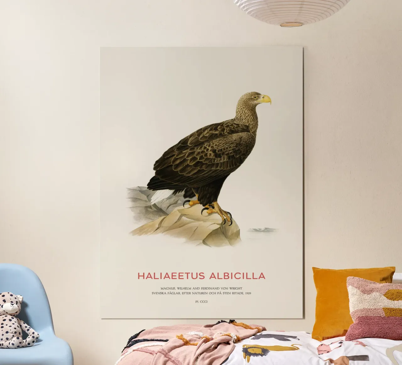 Pygargue à queue blanche ou Haliaeetus Albicilla hahnemühle de Vintagrafica