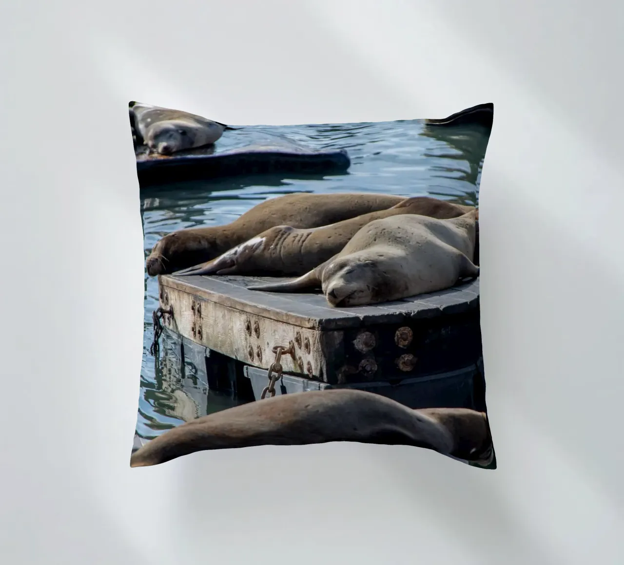 Sleeping seal cuscino da anderm