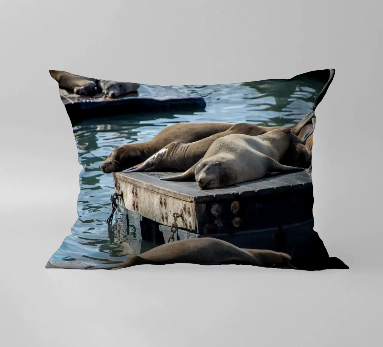 Sleeping seal cuscino da anderm