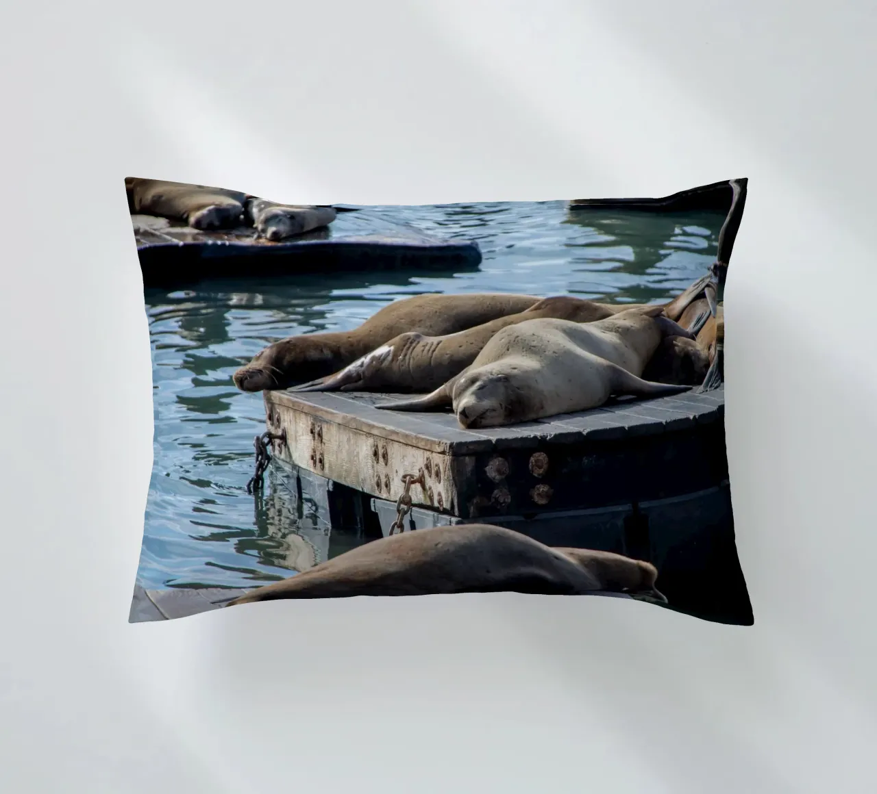 Sleeping seal cuscino da anderm