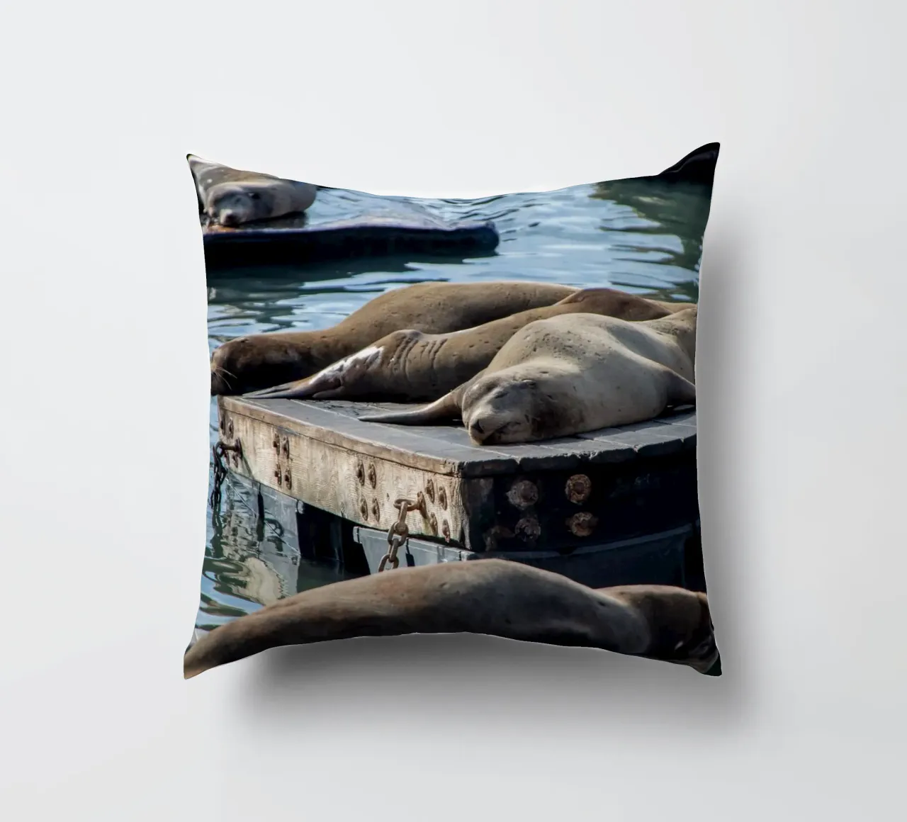 Sleeping seal cuscino da anderm