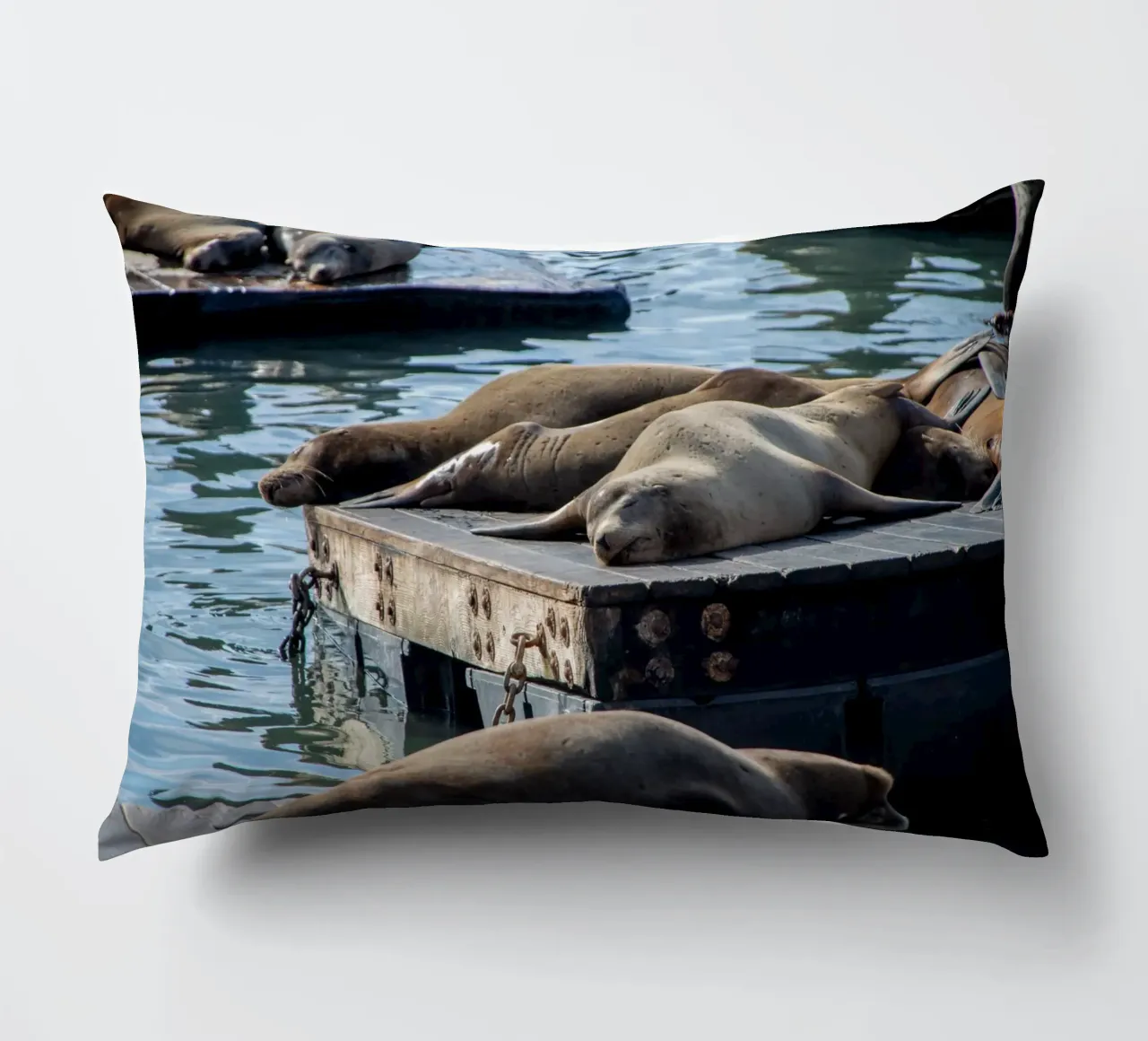Sleeping seal cuscino da anderm