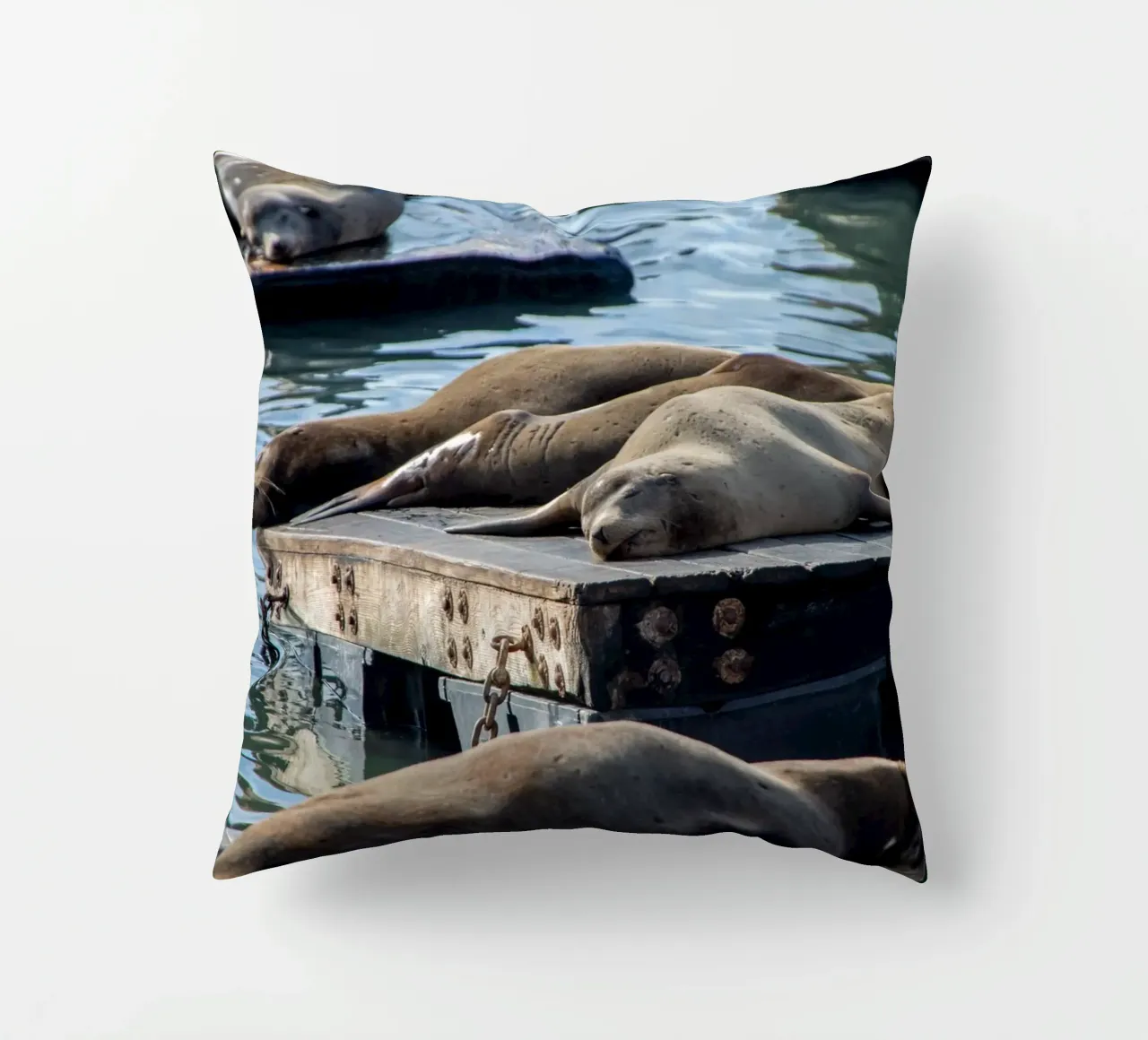 Sleeping seal cuscino da anderm