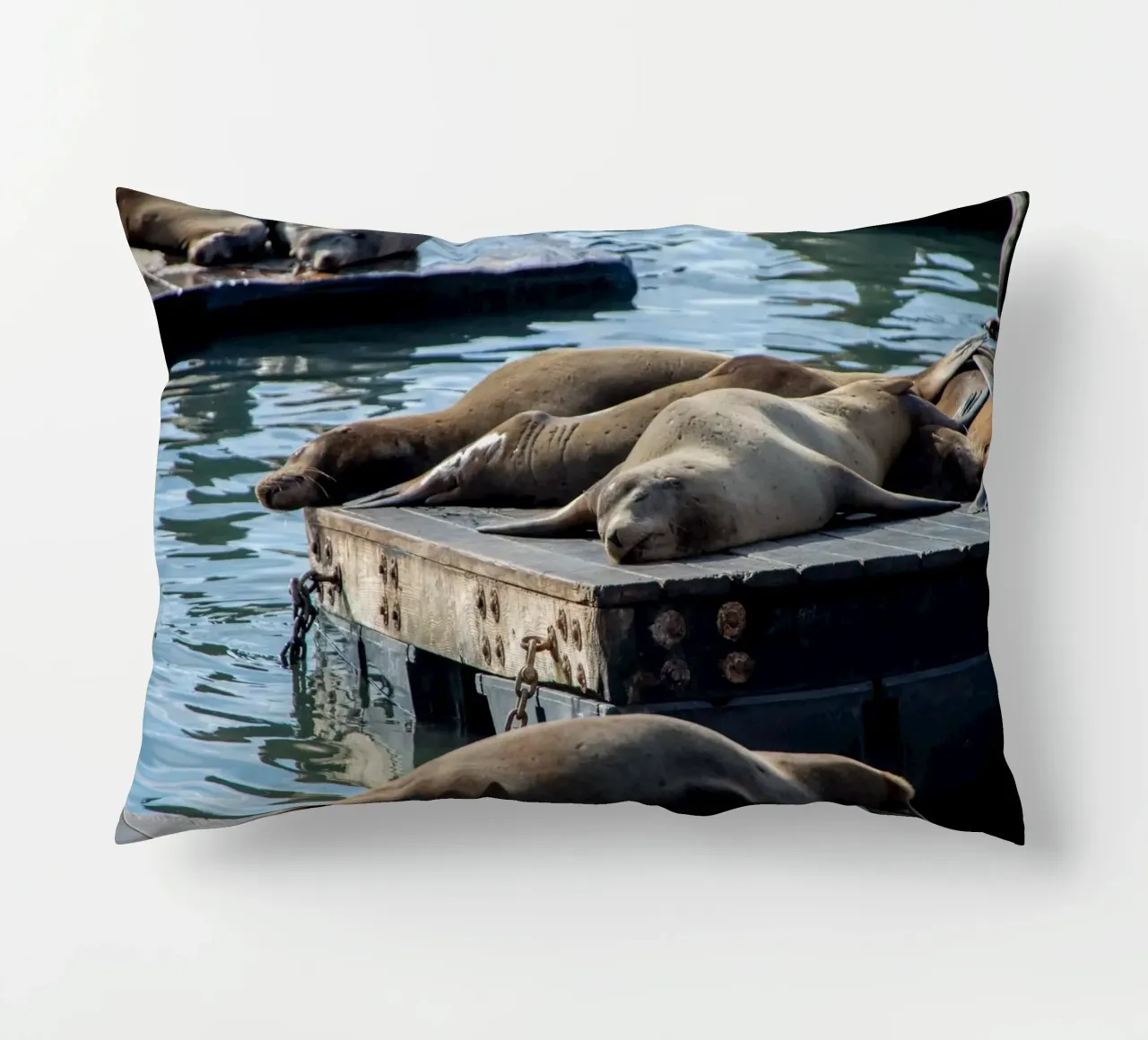 Sleeping seal cuscino da anderm