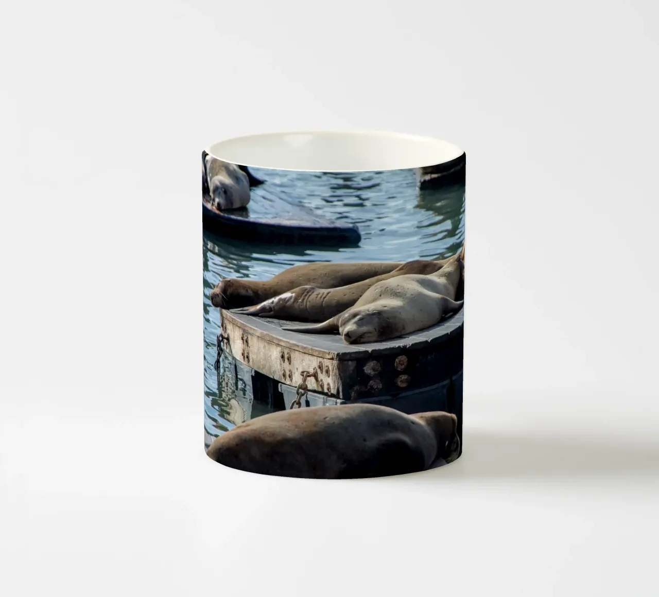 Sleeping seal tazza in ceramica da anderm