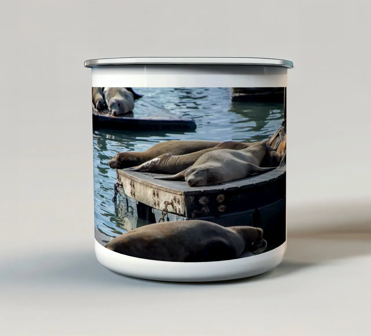 Sleeping seal tazza in smalto da anderm
