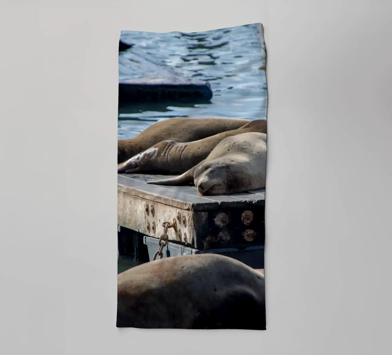 Sleeping seal asciugamano da bagno da anderm