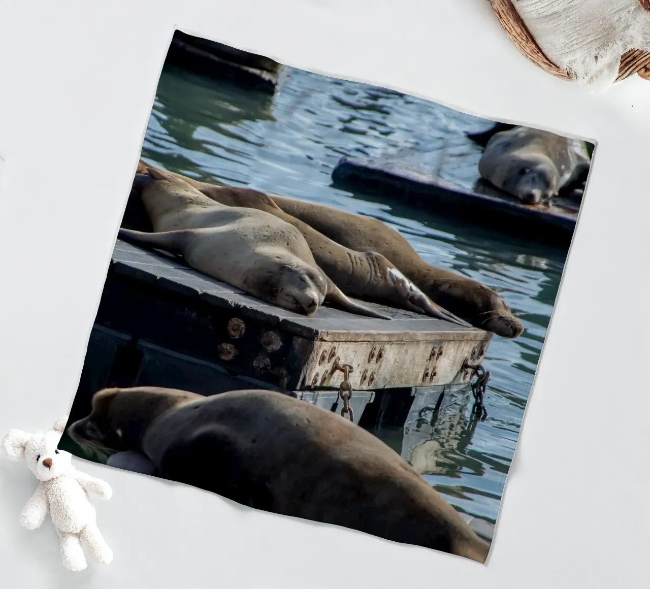 Sleeping seal coperta in pile da anderm
