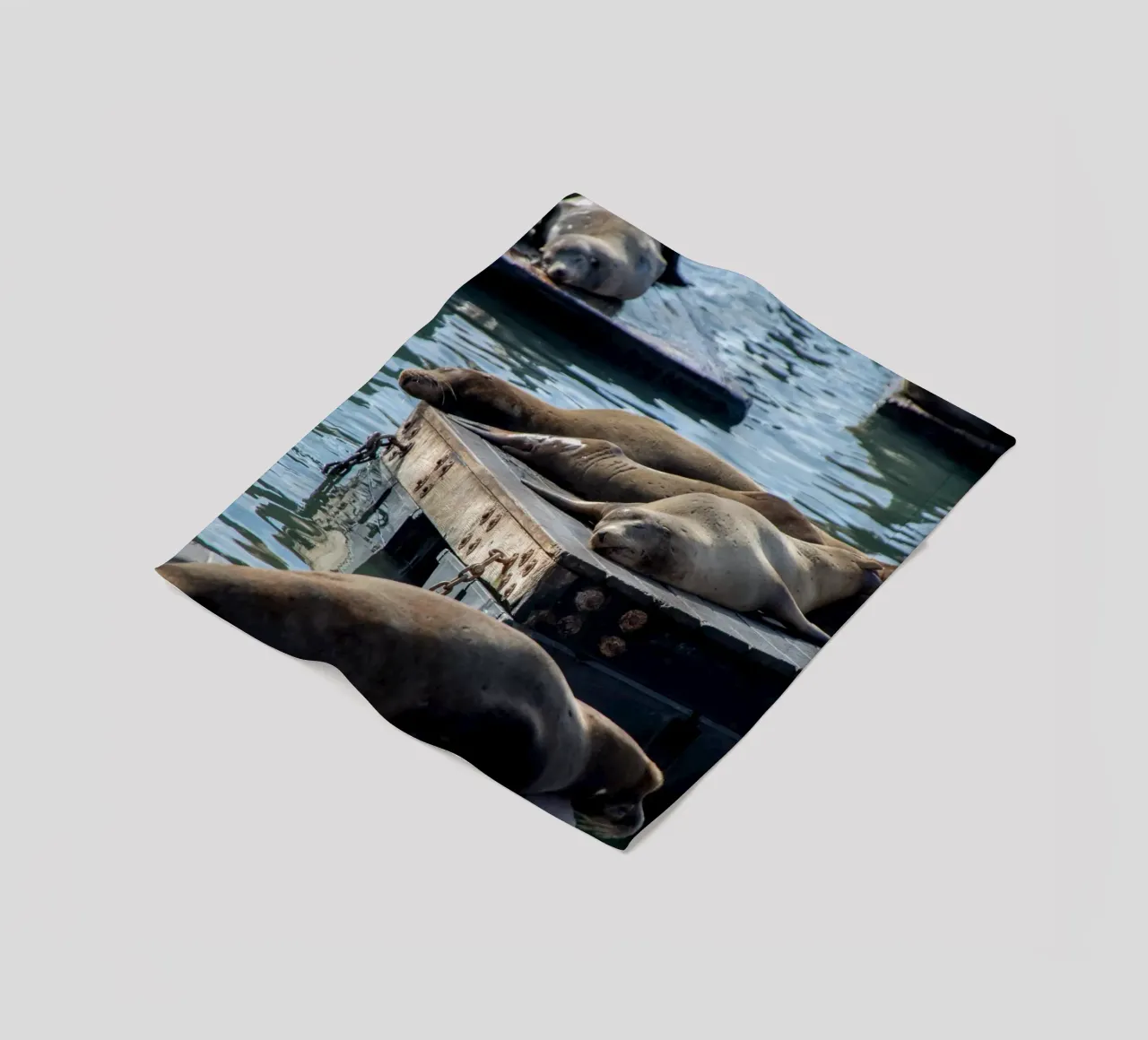 Sleeping seal coperta in pile da anderm