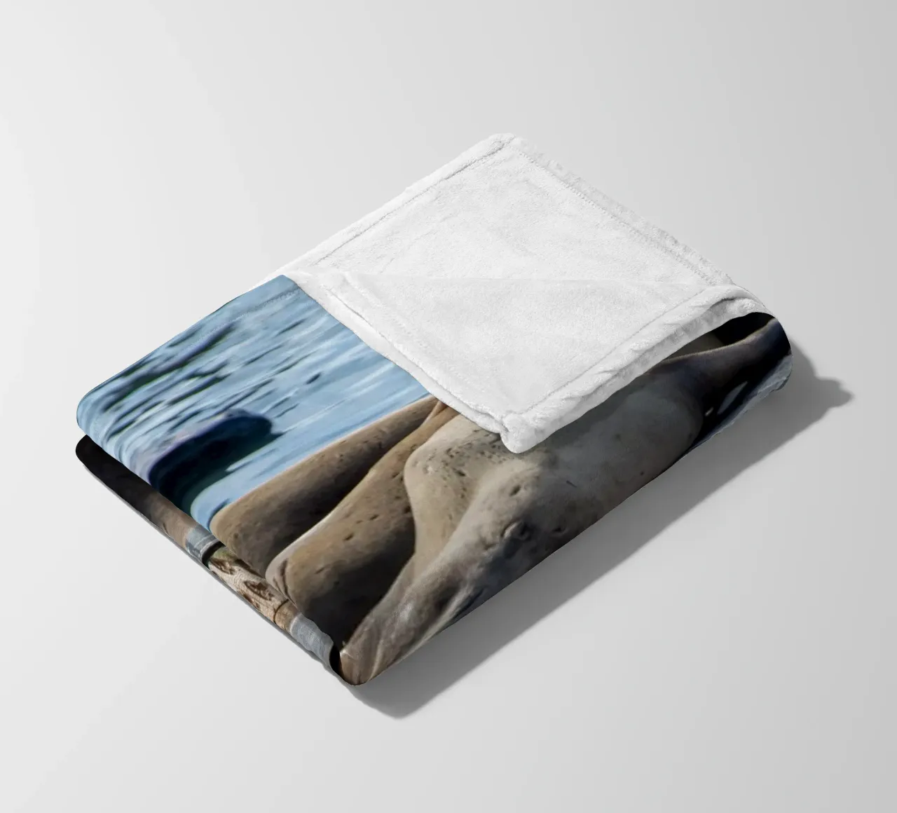 Sleeping seal coperta in pile da anderm