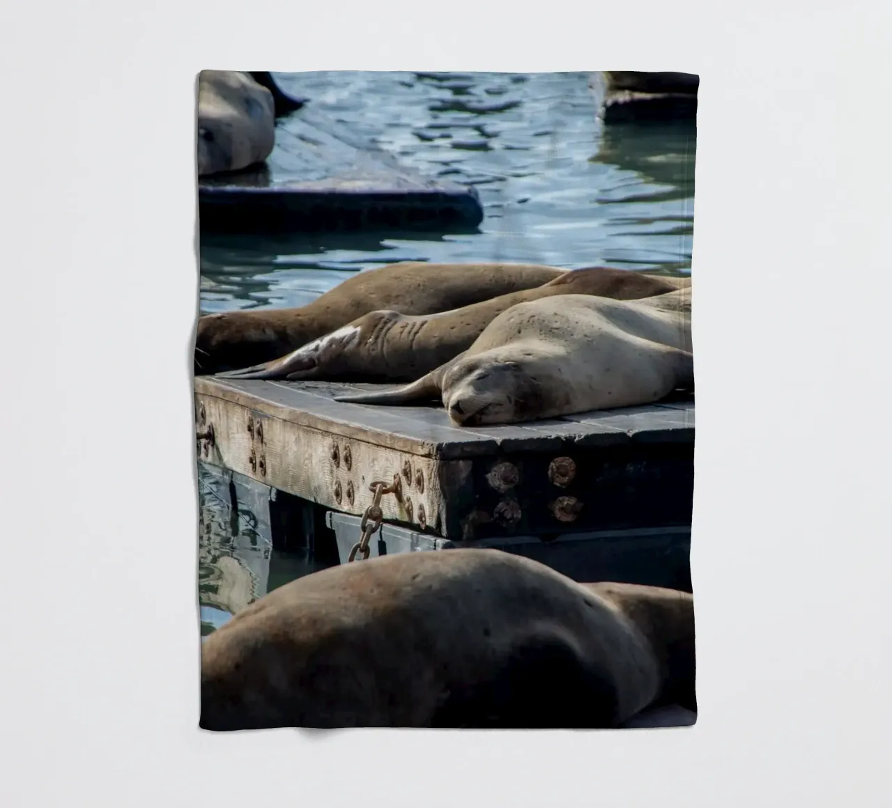 Sleeping seal coperta in pile da anderm